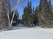 16 Evergreen Rd   LARGE .51 acre lot / click on image for larger view